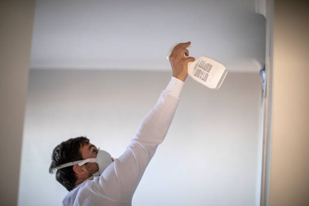  Novato, CA Mold Removal Pros