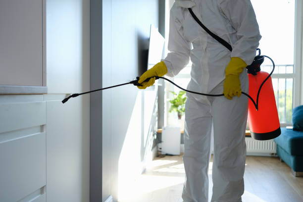 Best Mold Testing  in Novato, CA