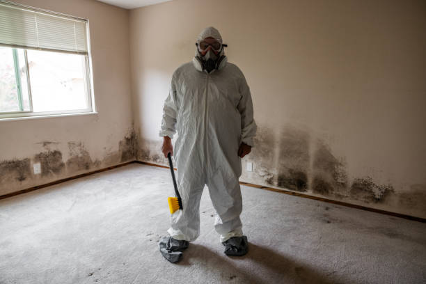 Best Emergency Mold Removal  in Novato, CA